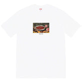 Supreme Strawberry Fruit Plate Print T-Shirt