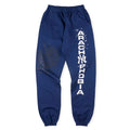 Sp5der 555555 Phobia sports pants