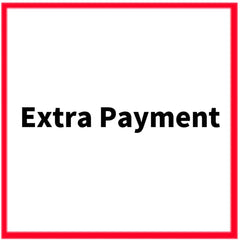 Extra Payment