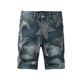 PURPLE Denim Shorts #5116