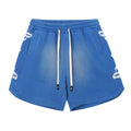 Embroidered Washed Distressed Short blue/Light Blue/Rainbow Blue